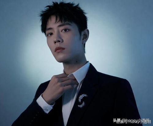 王鑫磊知情人爆料视频,独家视频内容大曝光